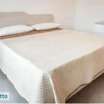 Appartamento arredato con terrazzo Centro