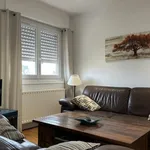 Rent 3 bedroom apartment of 65 m² in Anglet