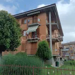 Rent 2 bedroom apartment of 54 m² in Villanova Mondovì