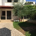 Rent 3 bedroom house of 75 m² in Carovigno