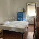 Rent 4 bedroom apartment of 120 m² in Roma