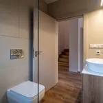 Pronajměte si 4 ložnic/e dům o rozloze 300 m² v Těrlicko