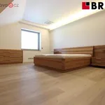 Pronajměte si 3 ložnic/e byt o rozloze 195 m² v Brno