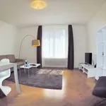 Rent 2 bedroom apartment of 753 m² in Zurich