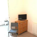 Rent 1 bedroom apartment of 16 m² in Toulouse (31300)