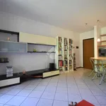 Rent 3 bedroom apartment of 80 m² in Brugherio