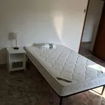 Rent a room in bologna