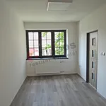 Pronájem bytu 2+1 54m²