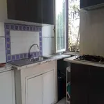 Rent 1 bedroom apartment in rome