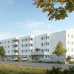 Moderne 4 Zimmerwohnung in Wieselburg mit Kaufoption - ein