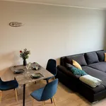 Rent 1 bedroom apartment of 43 m² in Prague