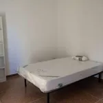 Rent a room in bologna