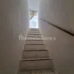 Rent 2 bedroom apartment of 55 m² in Brindisi