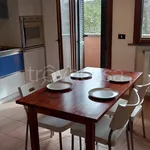 Rent 3 bedroom apartment of 50 m² in Rosignano Marittimo