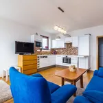 Rent 1 bedroom apartment of 42 m² in Praha 5 - Zličín