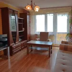 Rent 2 bedroom apartment of 51 m² in Sosnowiec