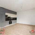 Rent 1 bedroom apartment of 35 m² in Pilsen