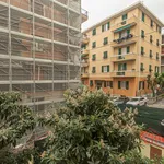 Rent 2 bedroom apartment of 66 m² in Genova