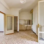 Rent 3 bedroom house of 90 m² in Terranova dei Passerini