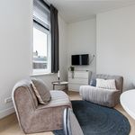 Rent 1 bedroom apartment of 27 m² in Nijmegen