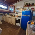 Rent 3 bedroom apartment of 60 m² in Pisa