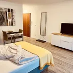 Rent 1 bedroom apartment in frankfurt