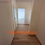 Rent 2 bedroom apartment of 39 m² in Karviná