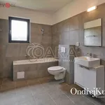 Rent 1 bedroom house of 230 m² in Neveklov