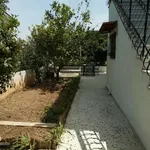 Rent 3 bedroom house of 125 m² in Ανάβυσσος