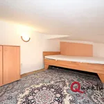 Rent 1 bedroom apartment of 31 m² in Hostivice