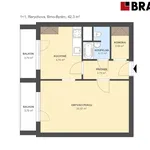 Rent 1 bedroom apartment of 41 m² in Brno