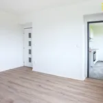 Pronájem bytu 1+1 42m²