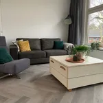 Rent 3 bedroom apartment of 81 m² in Vreewijk