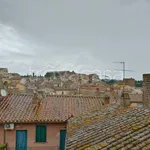 Rent 2 bedroom apartment of 45 m² in Tuscania