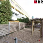 Rent 2 bedroom apartment of 45 m² in Brno