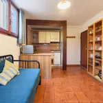 Rent 1 bedroom apartment in Florence