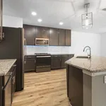 Rent 1 bedroom apartment in Castle Hills