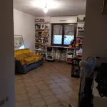 Rent 1 bedroom apartment of 45 m² in Rome