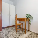 Alquilar 3 dormitorio apartamento en Valencia