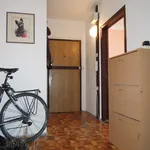 Rent 3 bedroom house in Prague