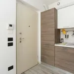 Rent 1 bedroom apartment of 55 m² in milan