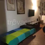 Rent 1 bedroom apartment of 35 m² in Firenze