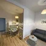 Affitto 1 camera appartamento di 46 m² in Bologna