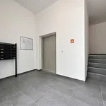 Rent 2 bedroom apartment of 50 m² in Leipzig