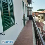 Affitto 2 camera appartamento di 60 m² in Reggio Calabria