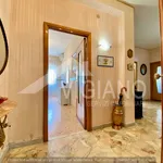 Rent 3 bedroom apartment of 145 m² in Foggia