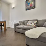 Rent 2 bedroom apartment of 64 m² in Monza