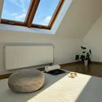 Rent 2 bedroom apartment of 60 m² in Leipzig