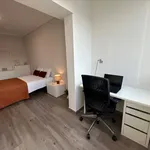 Rent 3 bedroom apartment in Lisbon