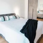 Rent 1 bedroom apartment in Como